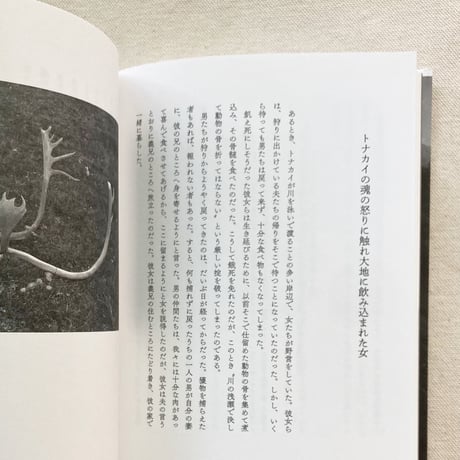 ツンドラの記憶