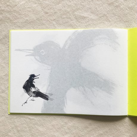 松岡正剛｜Birds