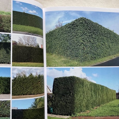 Anne Geene｜Book of Plants