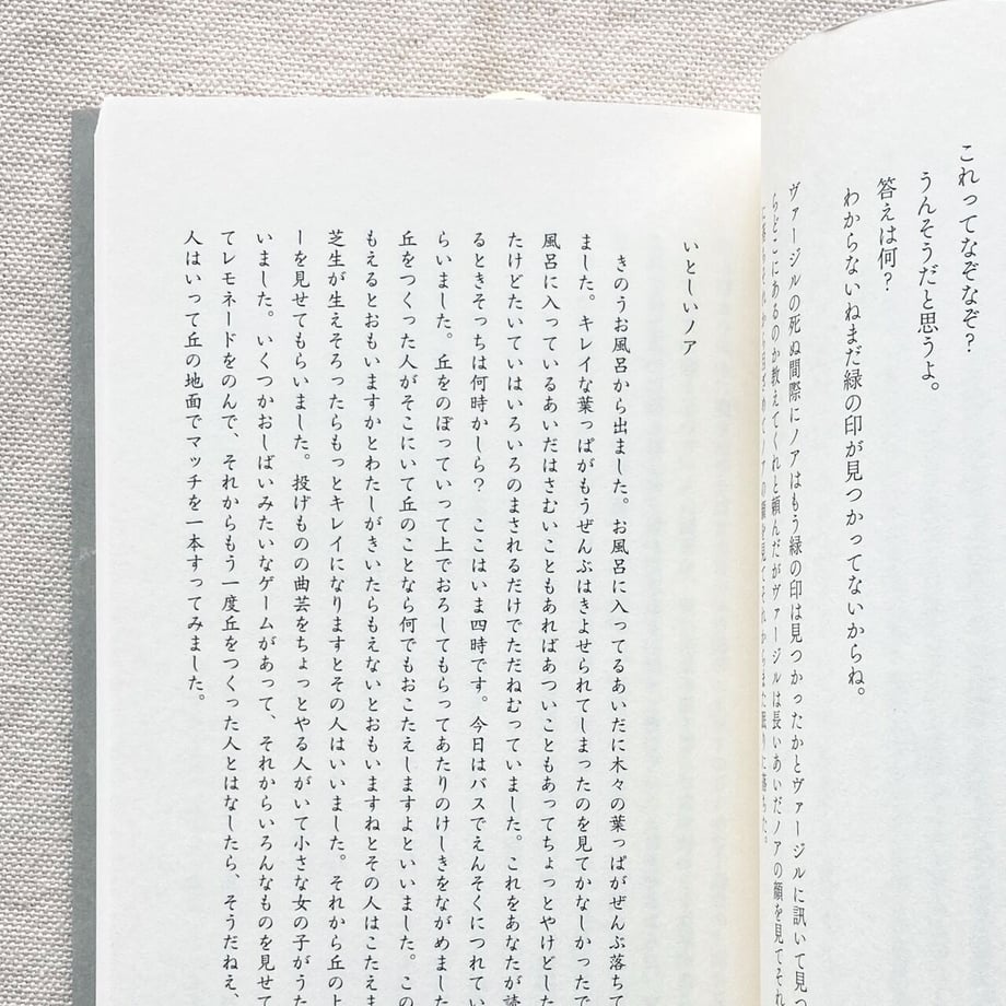 64097dbfa629c415b424251b
