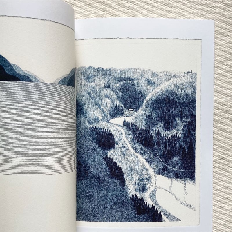 shunshun｜DRAWINGSⅠ | 曲線