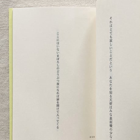 野村日魚子｜百年後　嵐のように恋がしたいとあなたは言い　実際嵐になった　すべてがこわれわたしたちはそれを見た