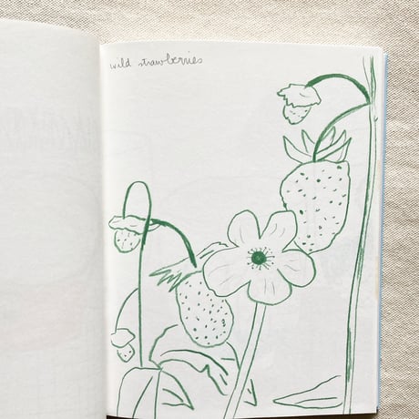 Johanna Tagada Hoffbeck｜CARNETS