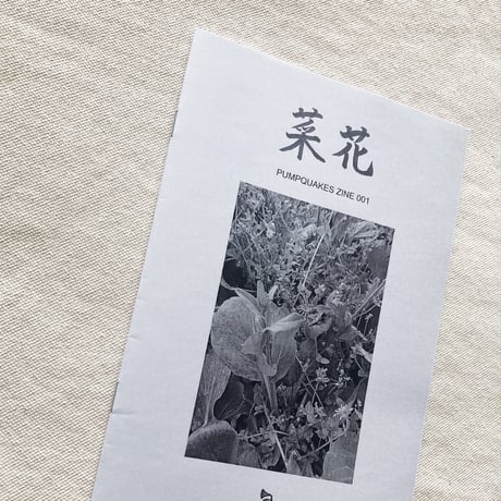 PUMPQUAKES ZINE 001 菜花