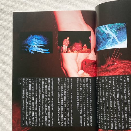 写真。vol,6