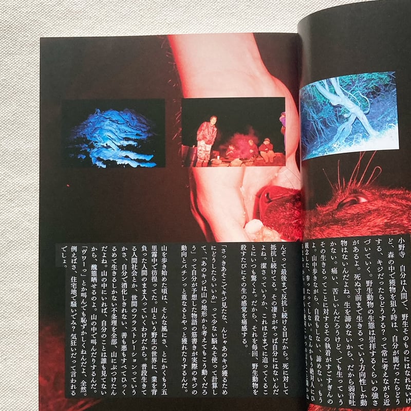 写真。vol,6 | 曲線 写真。vol,6 | 曲線