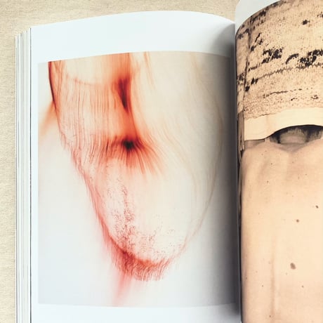 WOLFGANG TILLMANS｜THINGS MATTER, DINGE ZÄHLEN