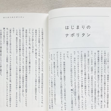 川内有緒｜ロッコク・キッチン