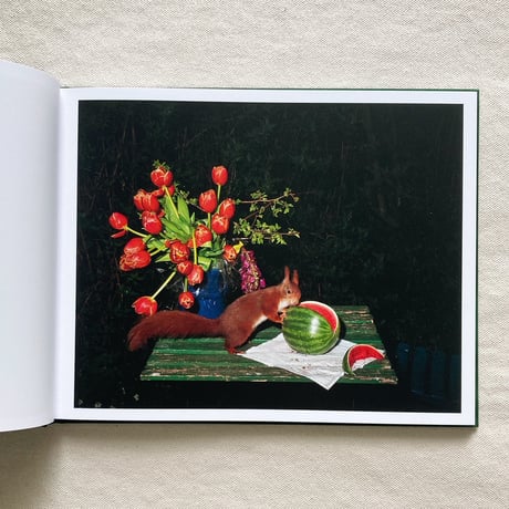 Lia Darjes｜PLATES I-XXXI