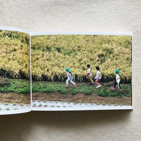 SCREENSHOTS FROM A SERIES OF VIDEOS ABOUT A RICE FIELD AND ITS SURROUNDINGS