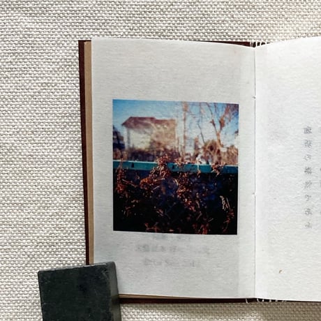 Rie Sato｜What I meant to say.