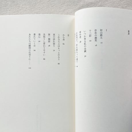 井戸川射子｜中座を横から見たscene