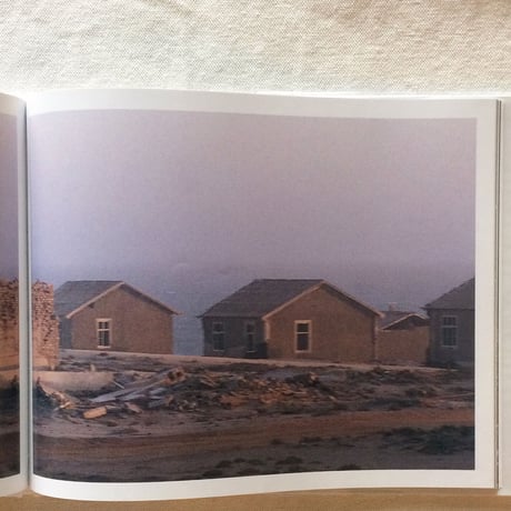 DOUG AITKEN｜METALL IC SLEEP