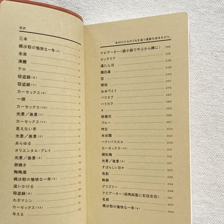 仲西森奈｜名付けたものどもを追う道筋を歩きながら、