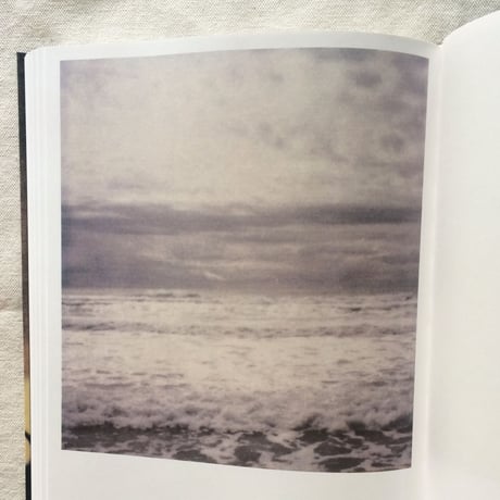 Cy Twombly｜LE TEMPS RETROUVÉ CY TWOMBLY PHOTOGRAPHE ET ARTISTES INVITÉS