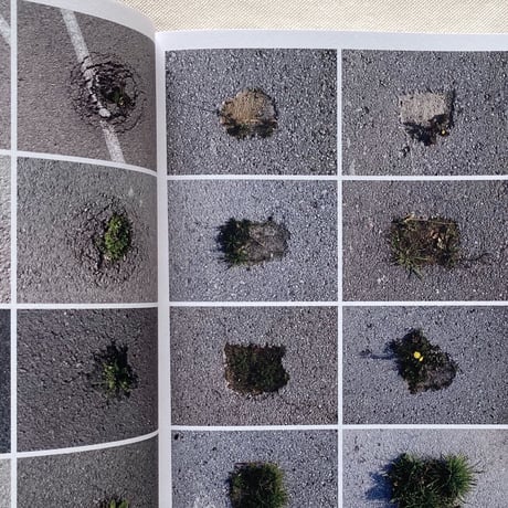 Anne Geene｜Book of Plants