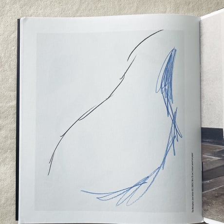 Fleur van Dodewaard｜BLACK GRASS／LOVE LETTERS
