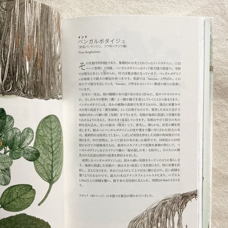 Jonathan Drori｜世界の樹木をめぐる80の物語