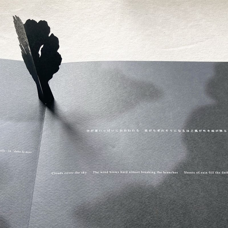 駒形克己｜Little tree | 曲線