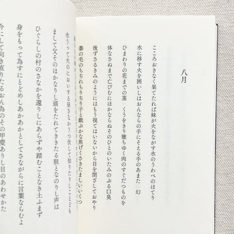 平井弘｜振りまはした花のやうに