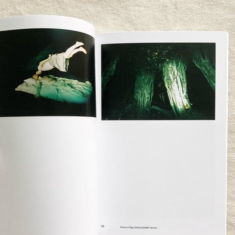 LIEKO SHIGA by Lieko Shiga