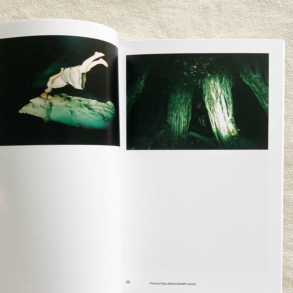 Lieko Shiga CANARY 志賀理江子