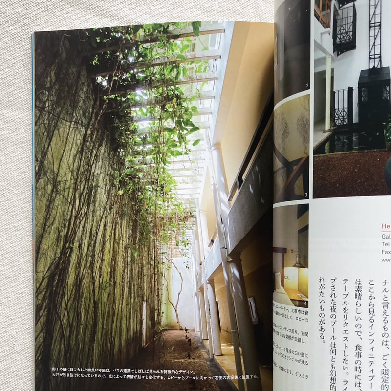 建築家ジェフリーバワのホテル内で購入した油絵 建築家ジェフリーバワのホテル内で購入した油絵 建築家