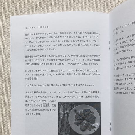 PUMPQUAKES ZINE 001 菜花