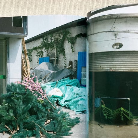 本多紗映｜Anthropophyta 人工植物門
