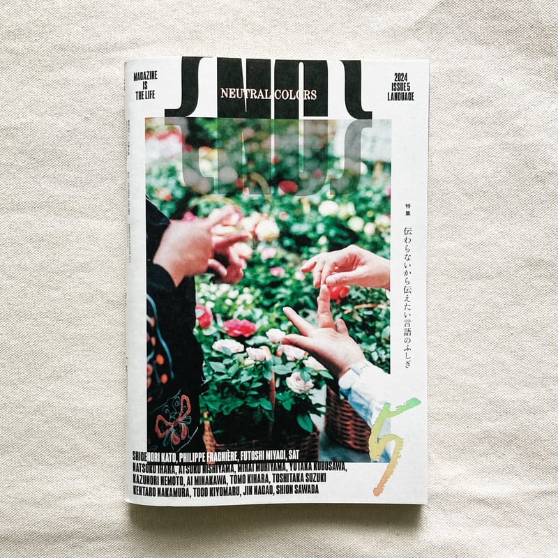 NEUTRAL COLORS 5 | 曲線