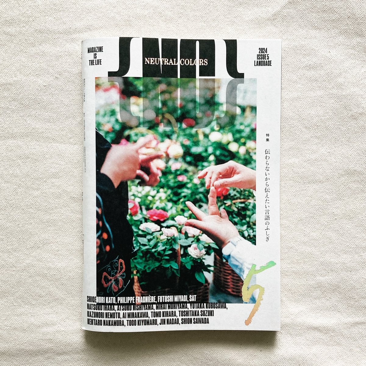 NEUTRAL COLORS 5 | 曲線