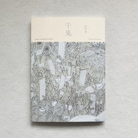 CATEGORY 美術 | 曲線