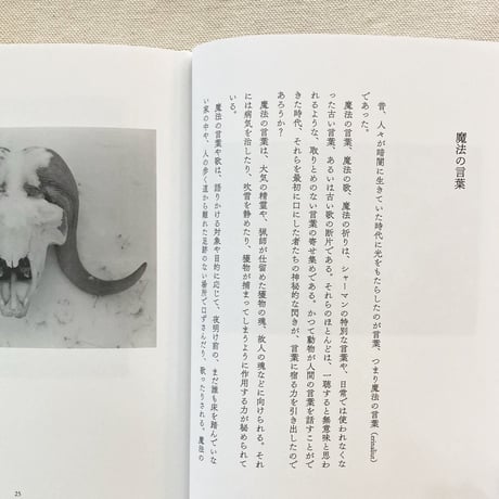 ツンドラの記憶