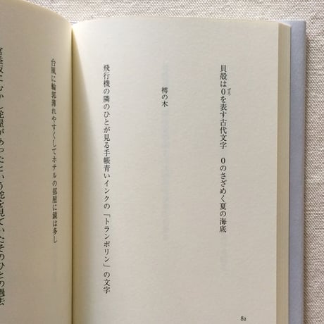小島なお｜展開図