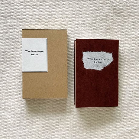 Rie Sato｜What I meant to say.