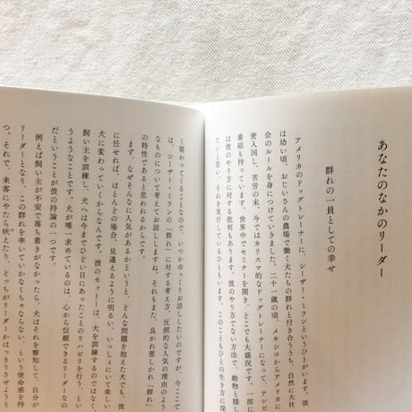 梨木香歩｜ほんとうのリーダーのみつけかた