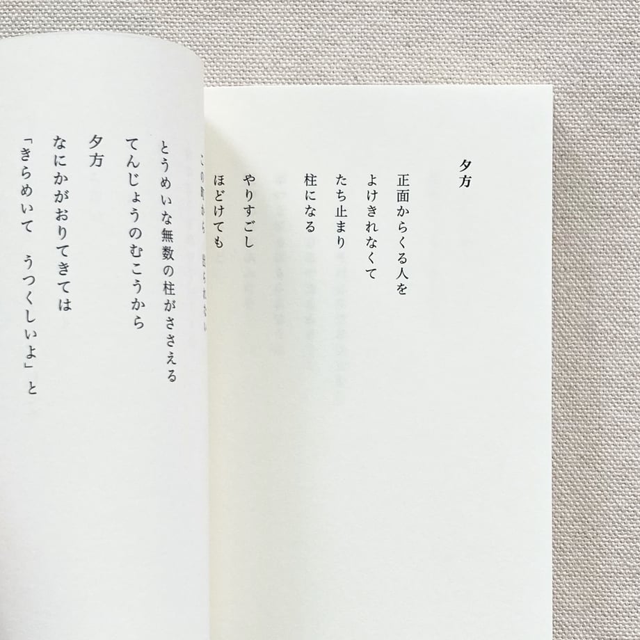 65d3168c3097d7003e1dcd43