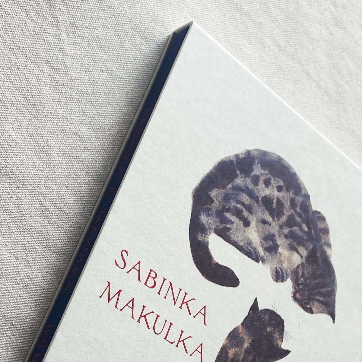出久根育｜SABINKA A MAKULKA | 曲線