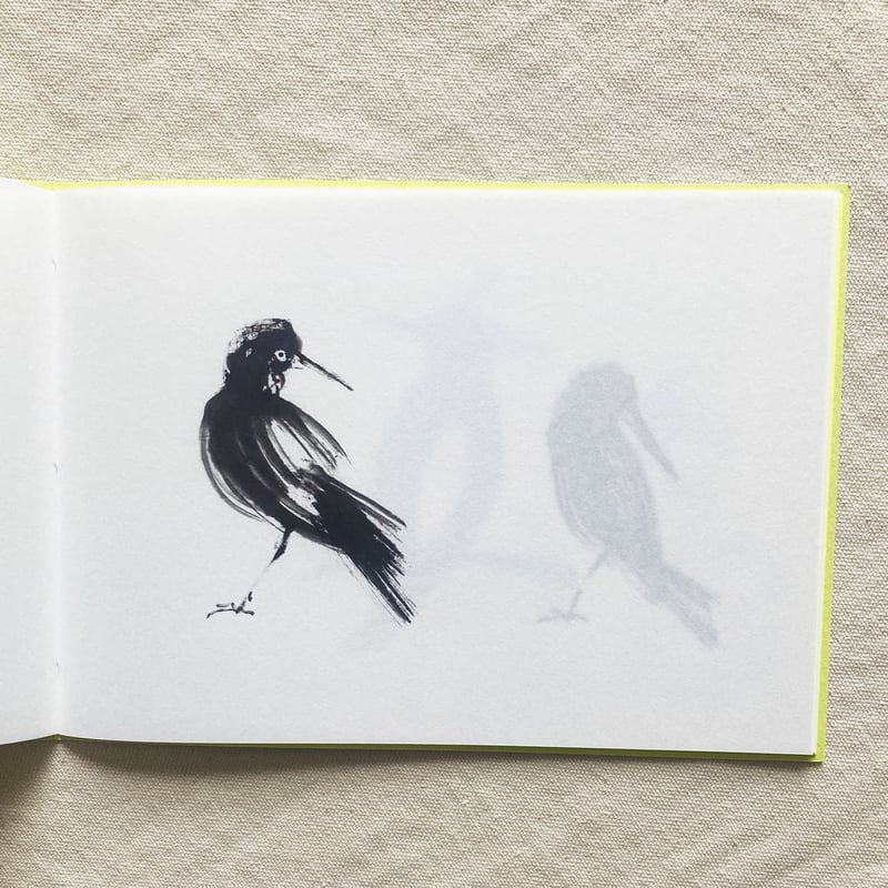 松岡正剛｜Birds | 曲線