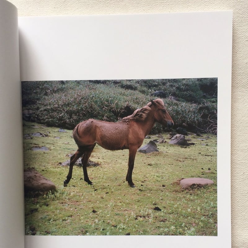 シャルロット・デュマ｜Stay | 曲線