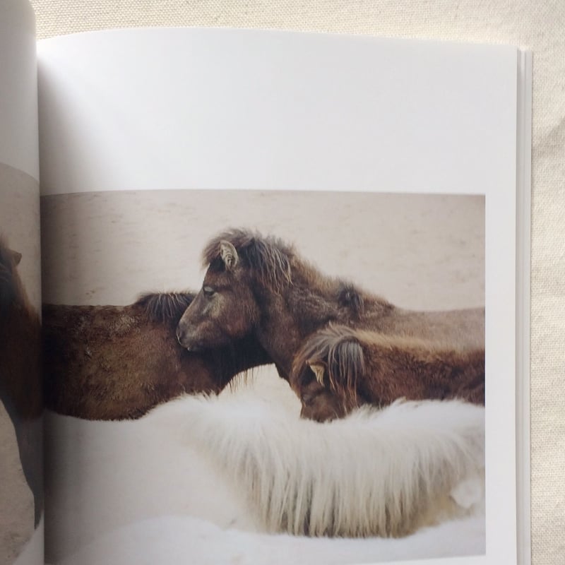 シャルロット・デュマ｜Stay | 曲線