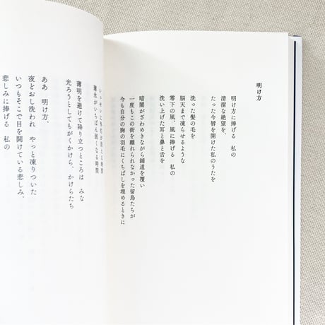 ハン・ガン｜引き出しに夕方をしまっておいた
