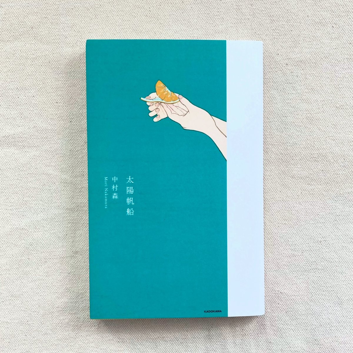 中村森｜太陽帆船 | 曲線