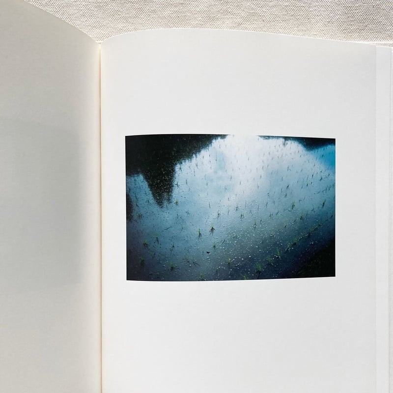 奥山由之 march March（Signed） - 奥山 由之 / Yoshiyuki Okuyama