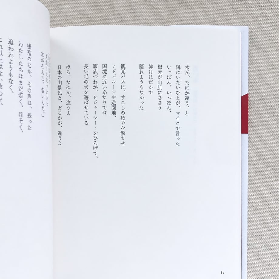 67c8124d632ad62d65f90f41