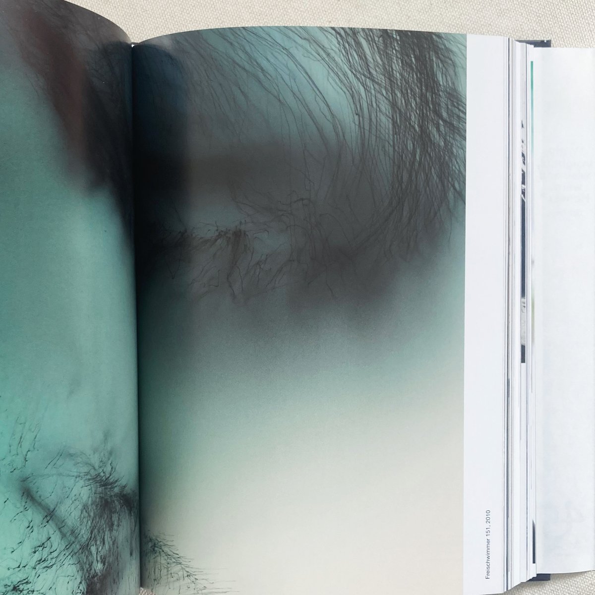 WOLFGANG TILLMANS FOUR BOOKS [45TH EDITION] | 曲線