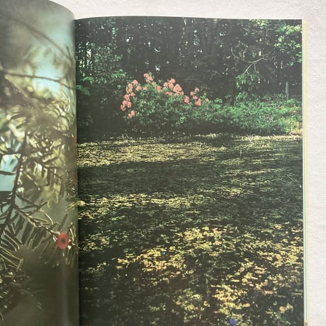 井上弁造・奥山淳志｜BENZO ESQUISSES 1920-2012