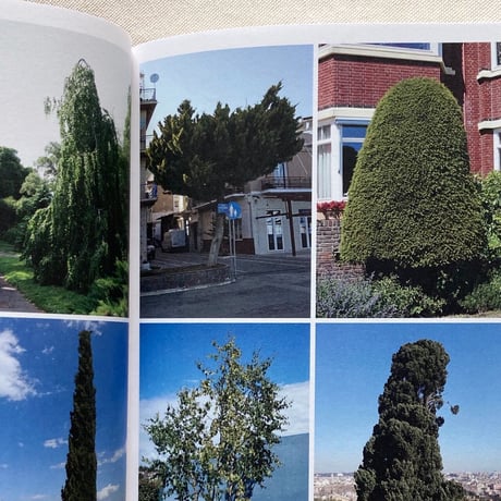 Anne Geene｜Book of Plants