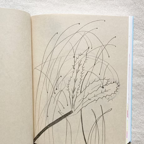Johanna Tagada Hoffbeck｜CARNETS