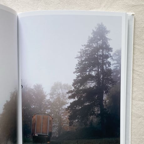 茂木綾子｜travelling tree